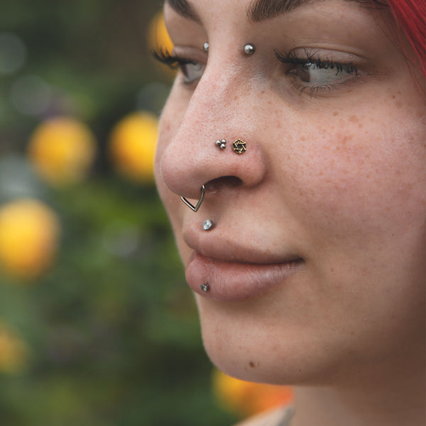 Septum Ring 26 Gauge Nose Stud Simple Teardrop Titanium Septum