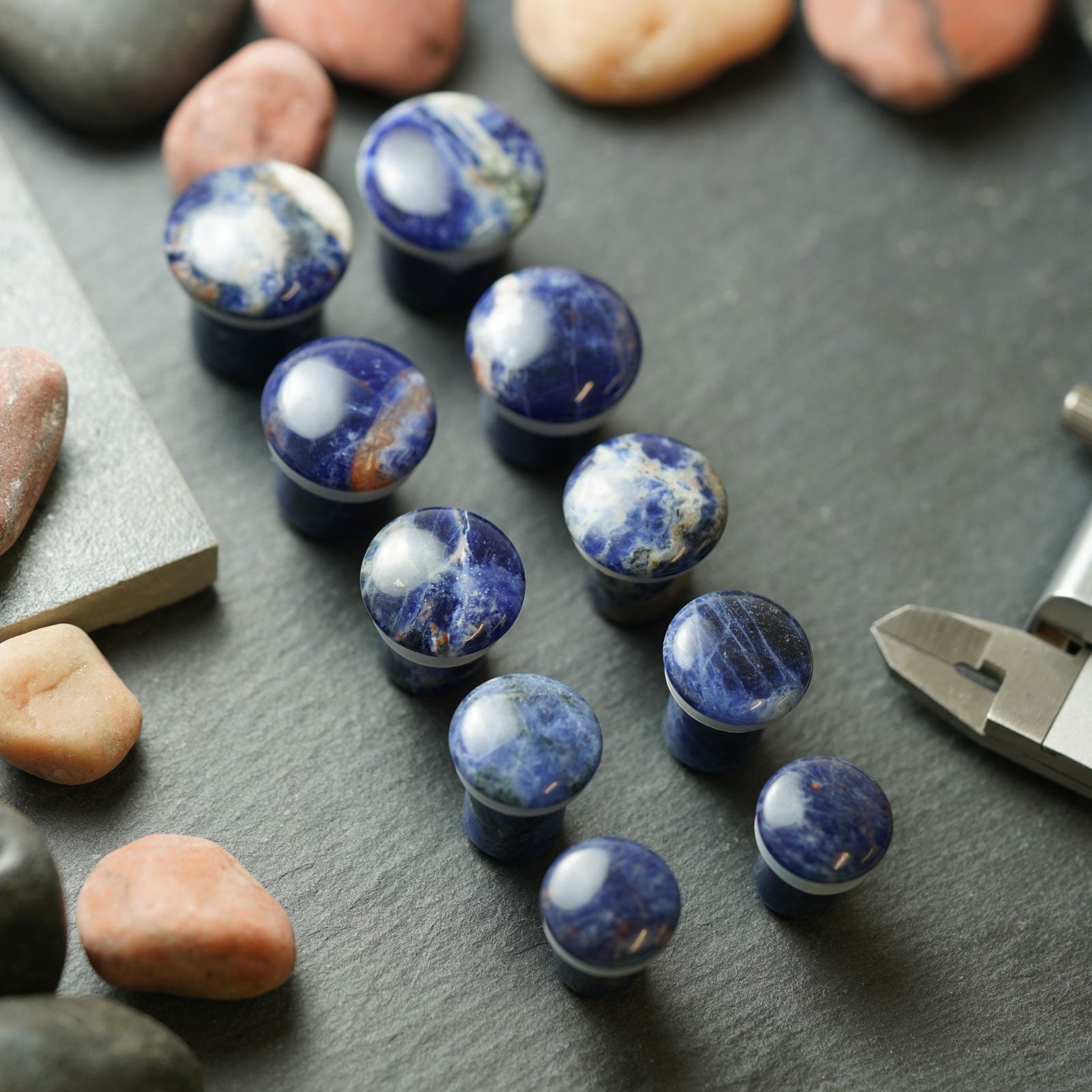 Sodalite Single Flare Convex Stone Plug Group Shot Two
