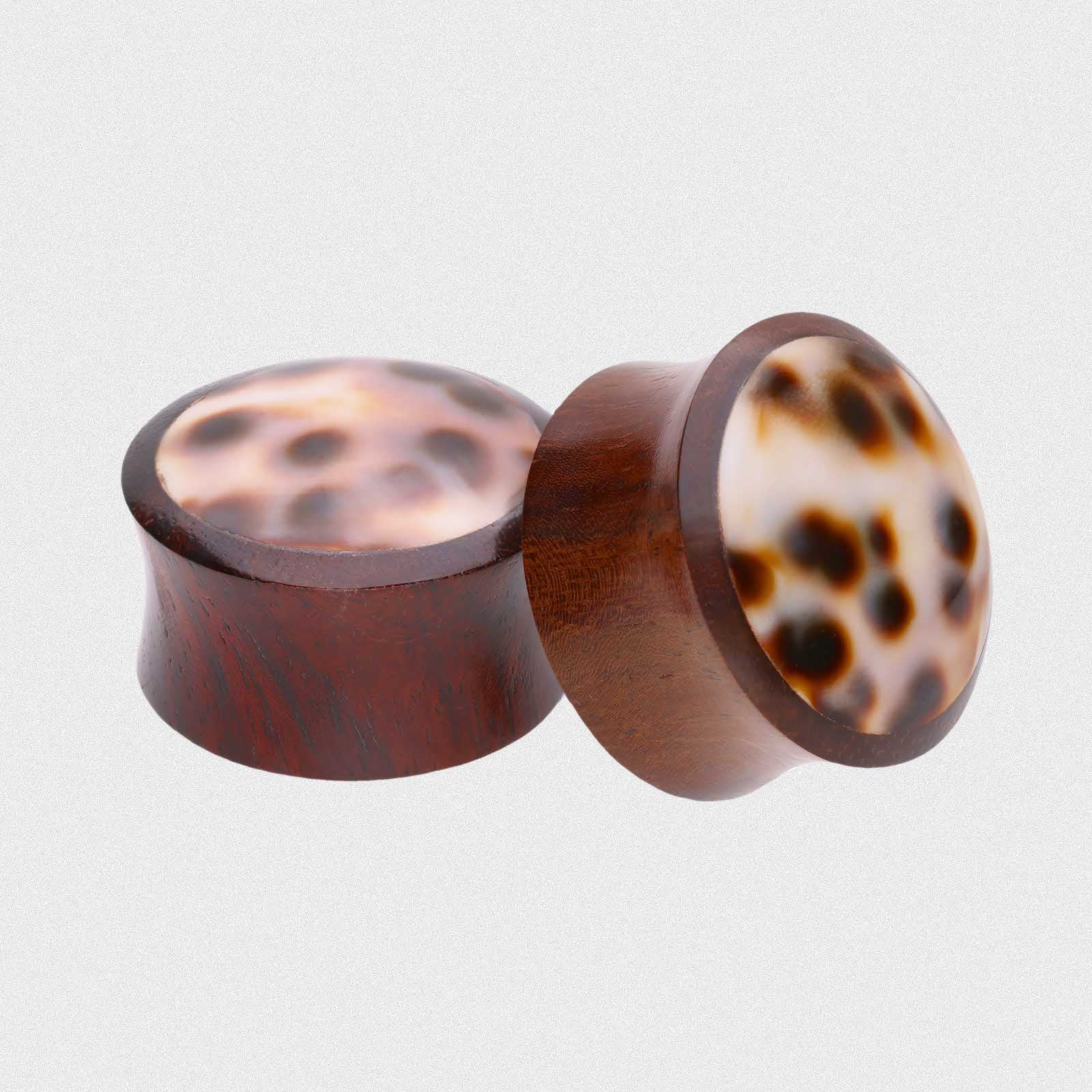 Sono Wood Double Flare Convex Plug With Tiger Cowrie Shell Inlay