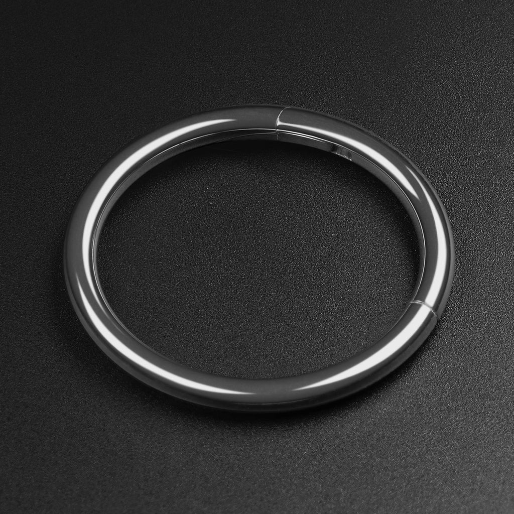Titanium Hinged Segment Ring | 6mm - 12mm | Mirror Polish | SIBJ ...