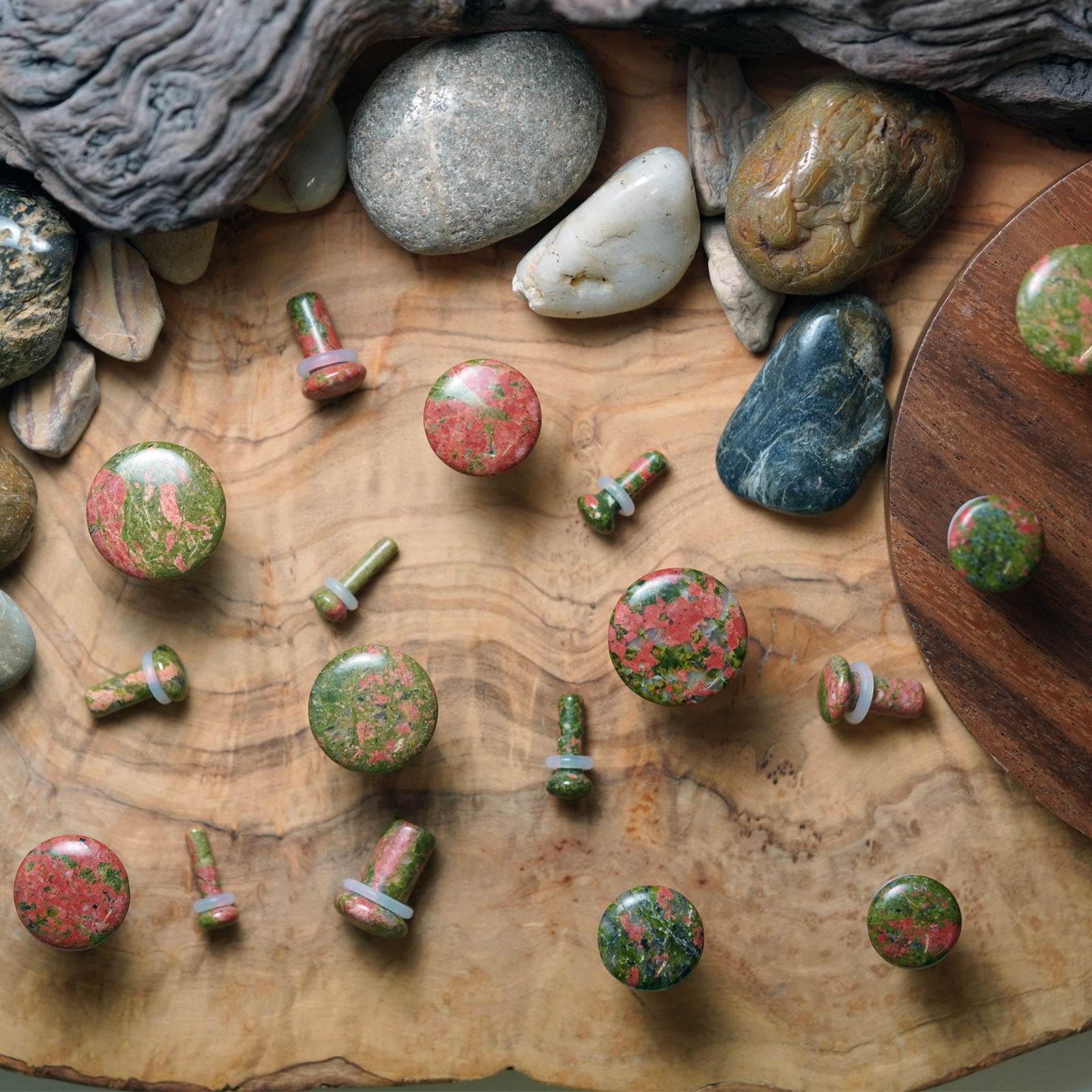 Unakite Single Flare Convex Stone Plug Group Shot