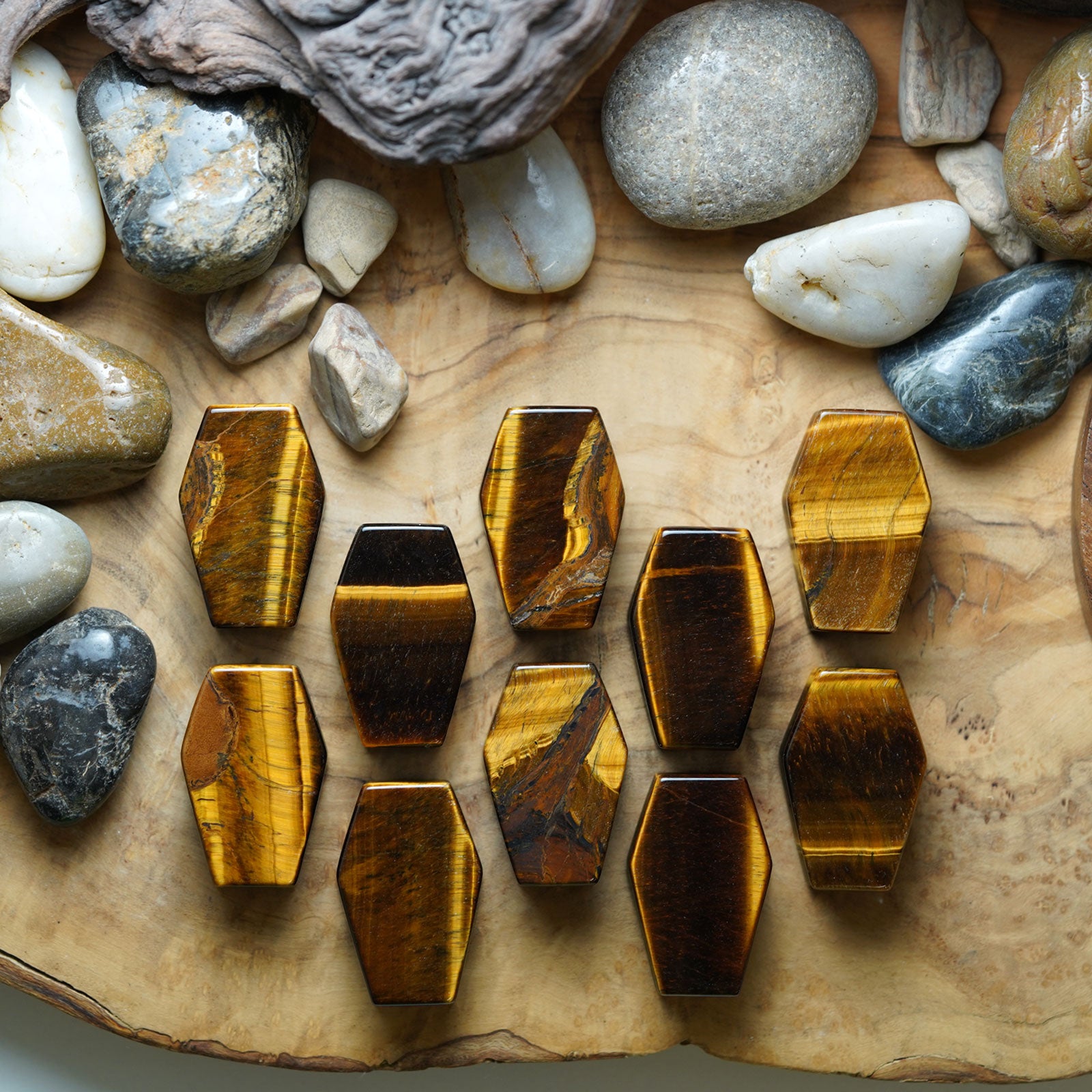 Black Onyx Double Flare Coffin Stone Plug Group Shot