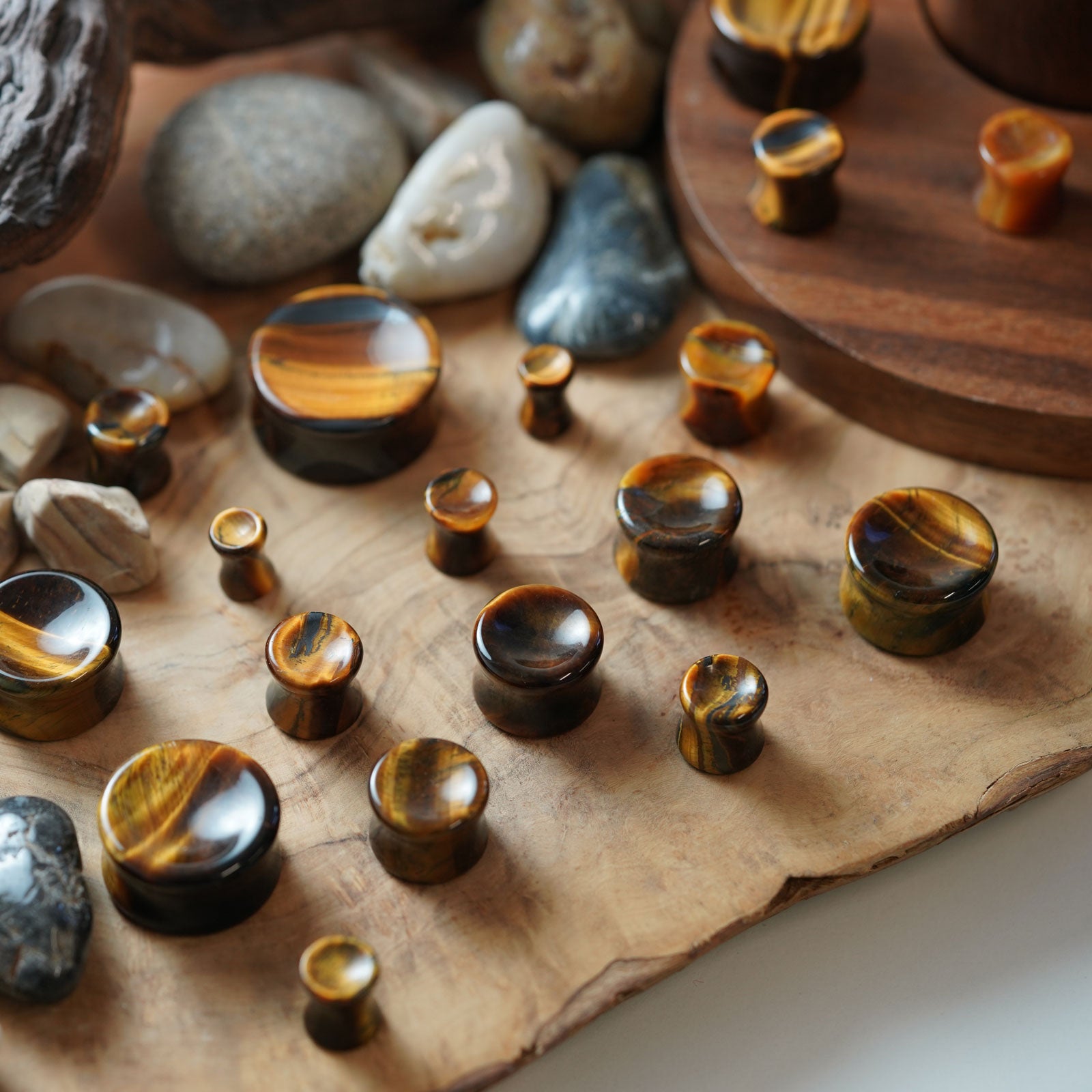 Yellow Tiger's Eye Double Flare Concave Plug Group Shot