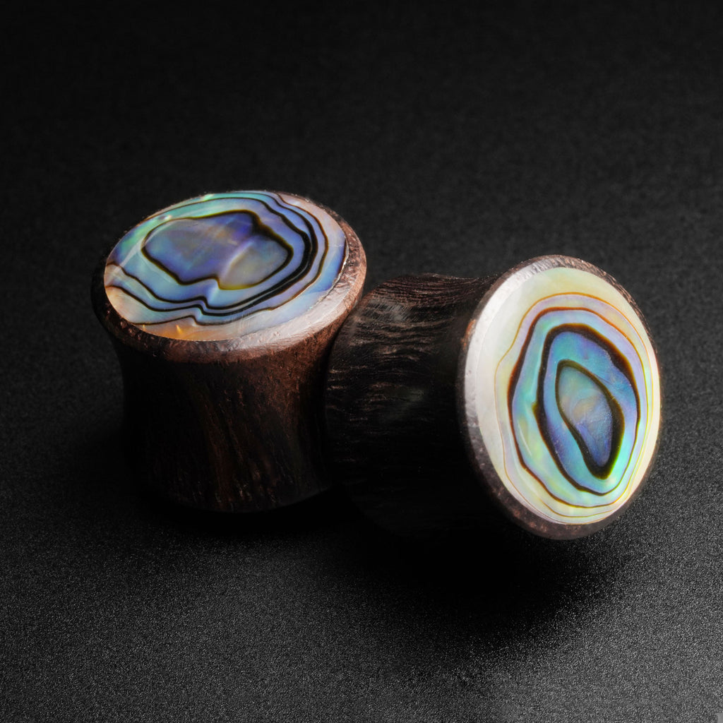 Sono Wood Double Flare Plug With Abalone Shell Inlay