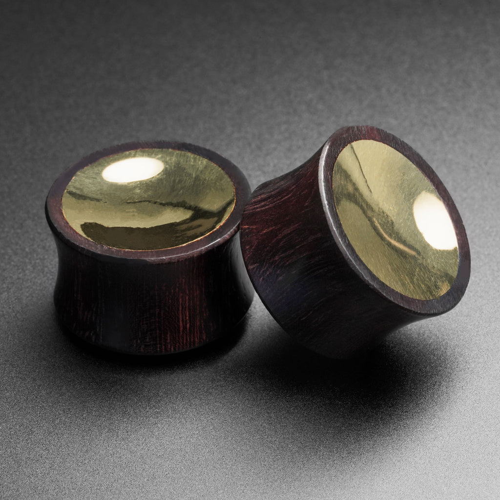 Areng Wood Double Flare Plug With Brass Concave Disc Inlay