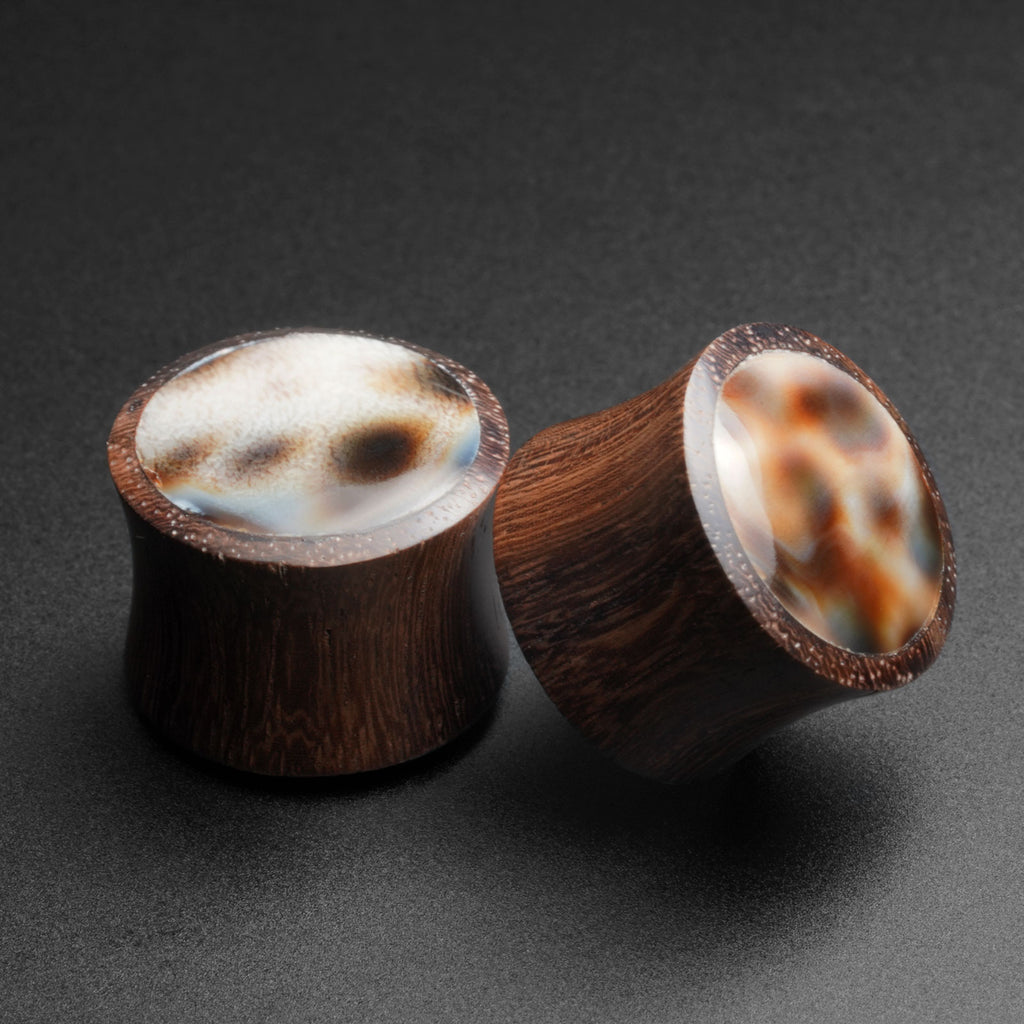 Sono Wood Double Flare Convex Plug With Tiger Cowrie Shell Inlay