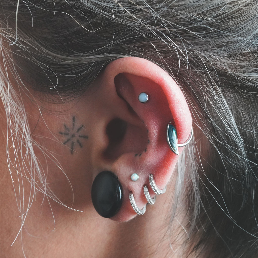 Titanium First Shell Abalone Shell Wing Titanium Hinged Segment Ring | Septum | Nose Ring ...