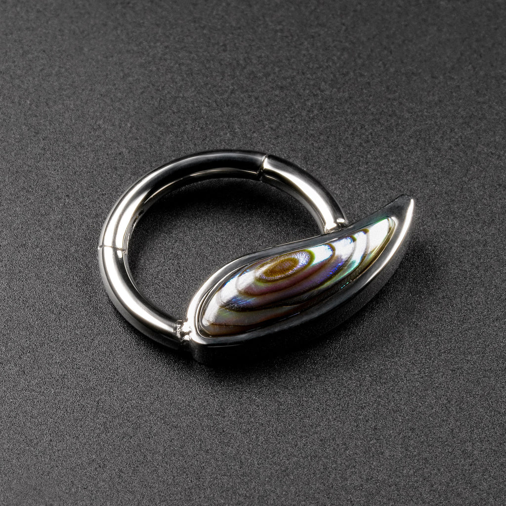 Shell Embedded Rings Abalone Shell Wing Titanium Hinged Segment Ring | Septum | Nose Ring ...