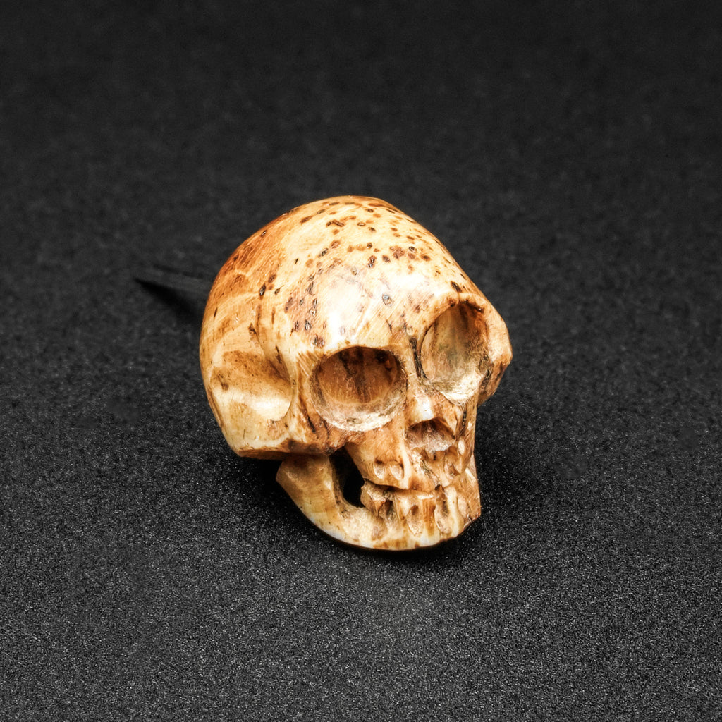 Aged Skull Bone Threadless Top