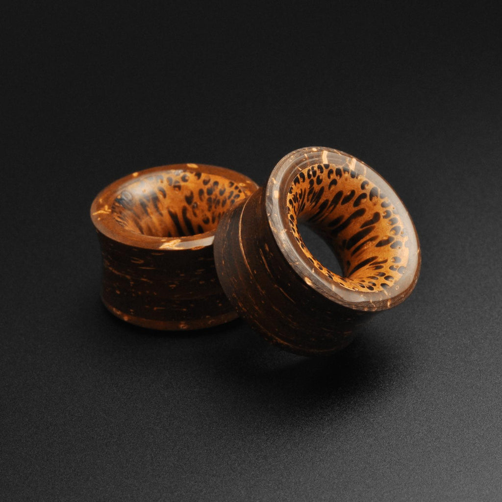 Coconut Shell Double Flare Tunnel With Coconut Wood Inlay