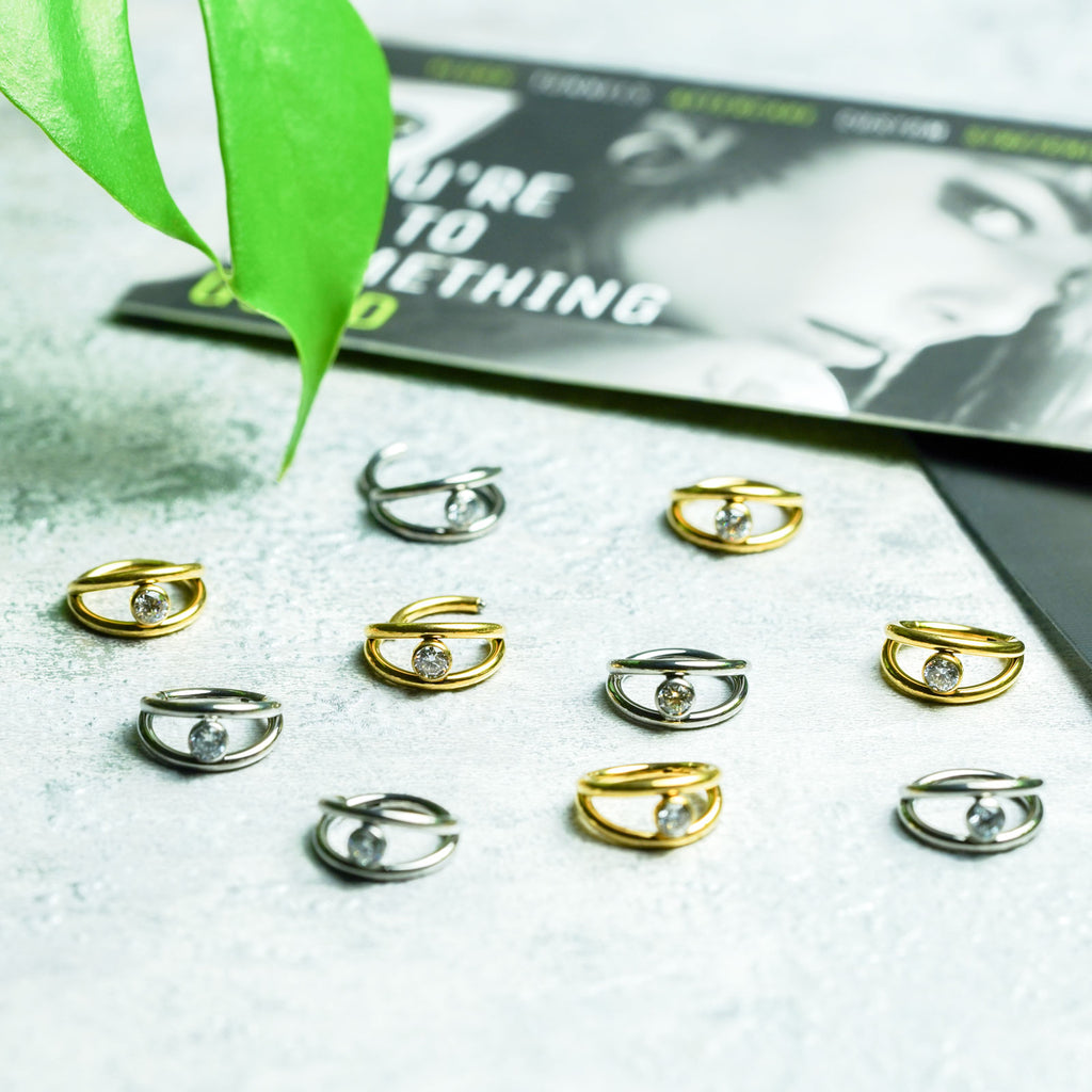 Double Hoop Single Jewel Titanium Hinged Segment Ring | Nose Rings ...