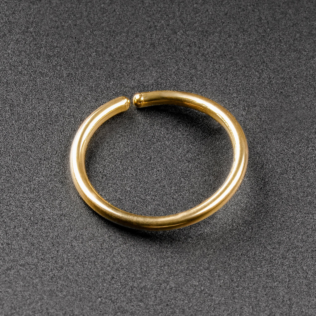 Gold PVD Titanium Seamless Nose Ring