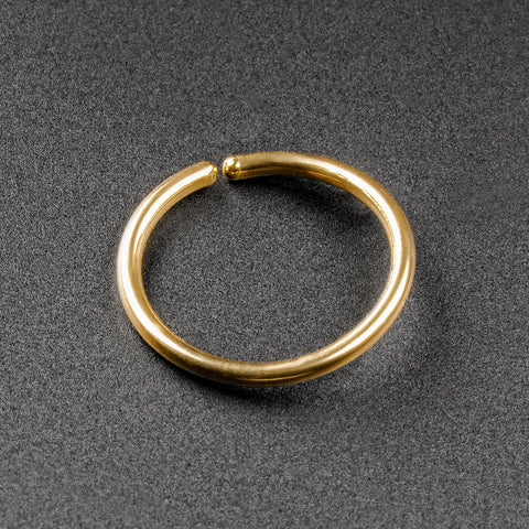 Gold PVD Titanium Seamless Nose Ring