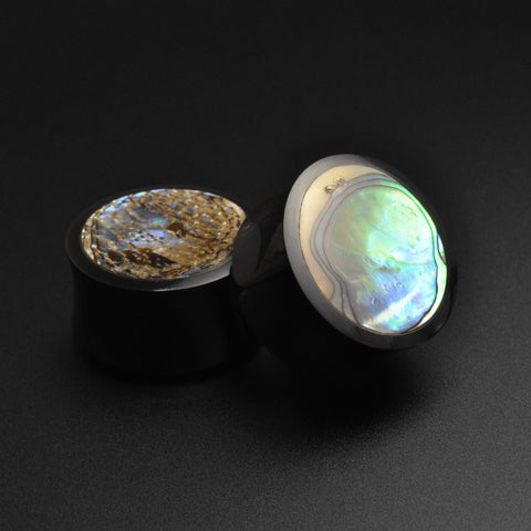 Horn Double Flare Plug With Abalone Sell Inlay