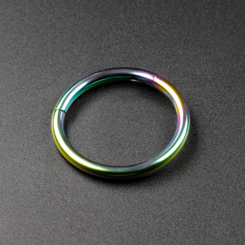 Rainbow PVD Titanium Hinged Segment Ring
