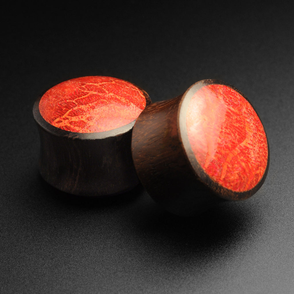 Sono Wood Double Flare Convex Plug With Red Coral Inlay