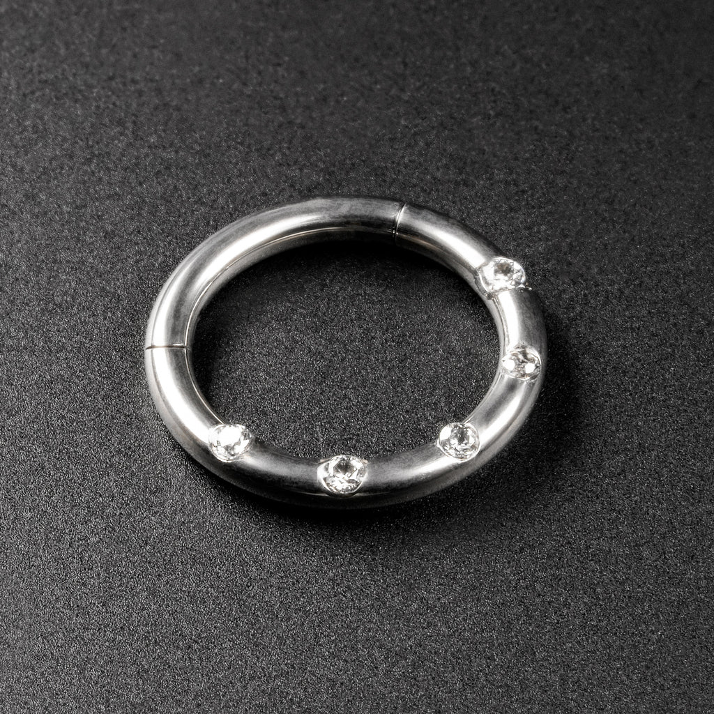 Spaced Jewelled Titanium Hinged Segment Ring