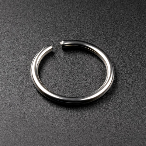 Titanium Seamless Nose Ring