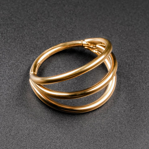 Triple Hoop Gold PVD Titanium Hinged Segment Ring